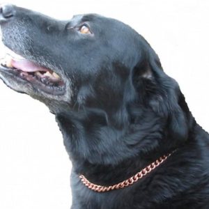 Copper Magnetic Therapy Dog Collars