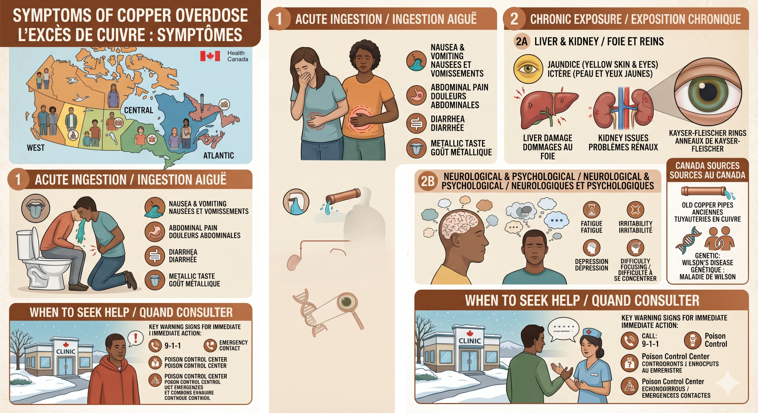Symptoms of Copper Overdose